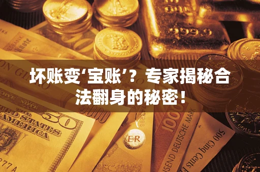 济南坏账变‘宝账’？专家揭秘合法翻身的秘密！