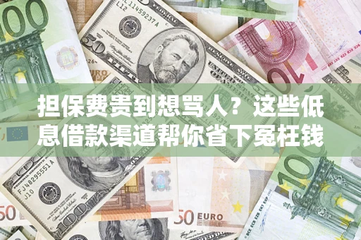 济南担保费贵到想骂人？这些低息借款渠道帮你省下冤枉钱