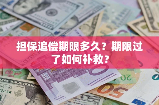 济南担保追偿期限多久？期限过了如何补救？