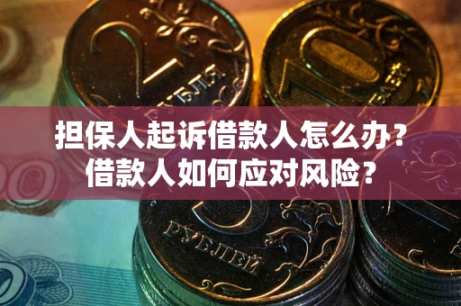 济南担保人起诉借款人怎么办？借款人如何应对风险？