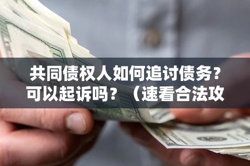 济南共同债权人如何追讨债务？可以起诉吗？（速看合法攻略）