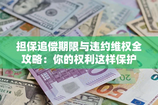 济南担保追偿期限与违约维权全攻略：你的权利这样保护