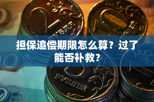 济南担保追偿期限怎么算？过了能否补救？